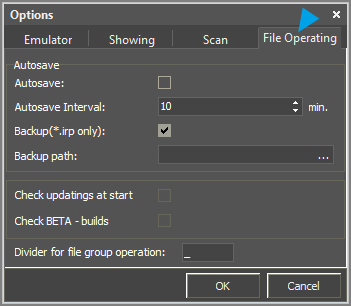 Editor Tools Option File Operating.png